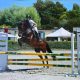 Listruttore di equitazione 3 80x80